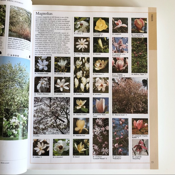 New Encyclopedia of Plants and Flowers The Royal Horticultural Society Book - Picture 7 of 13